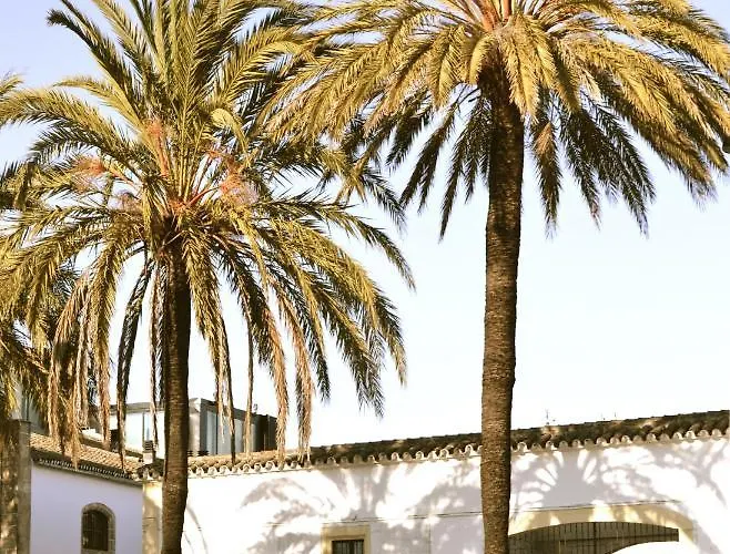 Entre Bodegas Jerez * Jerez de la Frontera