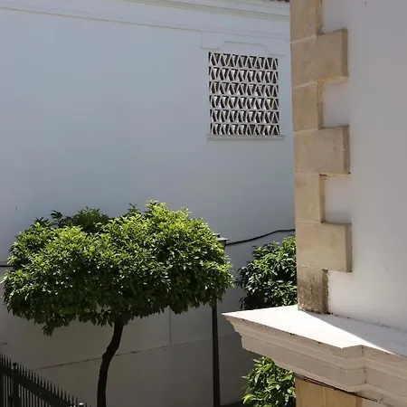 Entre Bodegas Jerez